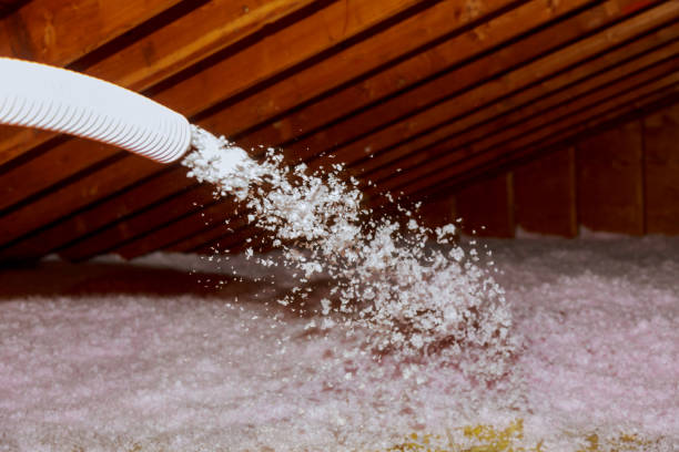 Best Eco-Friendly Insulation in Toronto, OH